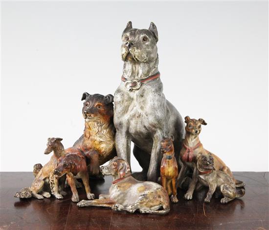 A fine late 19th century Austrian cold painted bronze group of eight dogs, W.8.5in. H.7in.